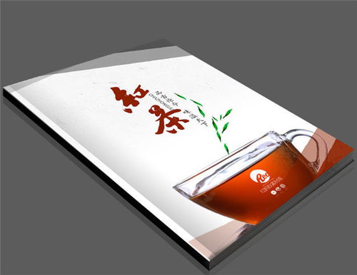 創(chuàng)意宣傳冊設計與動漫元素融合 以江夏宣傳冊制作為例